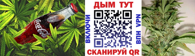 Canna-Cookies марихуана  Купить закладки  Пенза 