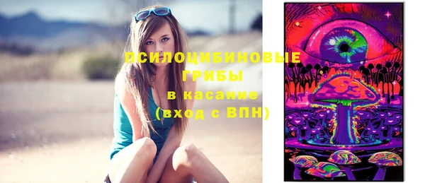 СК Аркадак