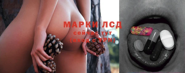 ГАЛЛЮЦИНОГЕННЫЕ ГРИБЫ Алексин