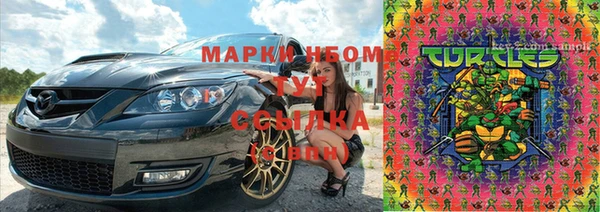 ГАЛЛЮЦИНОГЕННЫЕ ГРИБЫ Алексин