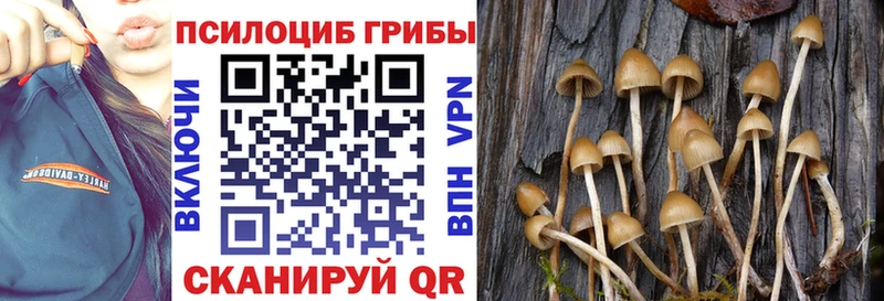 Псилоцибиновые грибы ЛСД Пенза