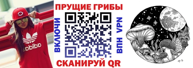 Псилоцибиновые грибы прущие грибы  Купить закладки  Пенза 